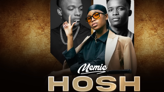 Screenshot 2025-05-13 203410 Memie - Hosh Ft. Kaycherlow & Kidbee