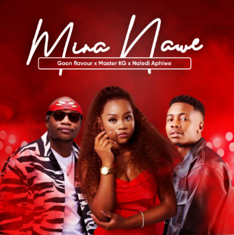 Screenshot 2025-05-13 204551 Master KG & Naledi Aphiwe - Lonyaka Ngowethu Ft. Q Twins & CiCi