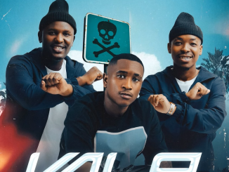 Dankie Boi, GoldMax & Blacks Jnr - Vala Ft. Dladla Mshunqisi & Black Catz