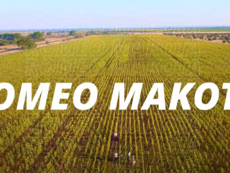 Romeo Makota – Amapiano Mix May 2025