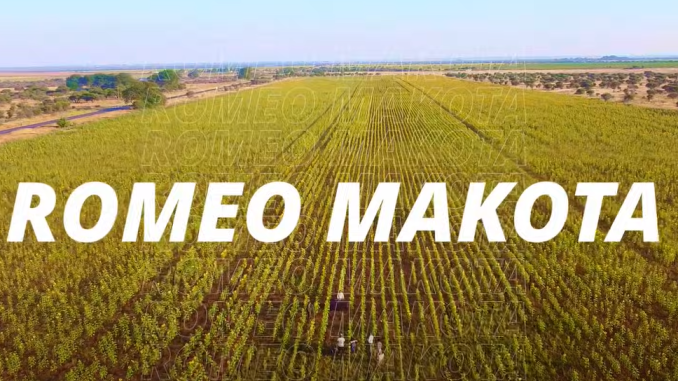 Screenshot 2025-05-19 084004 Romeo Makota – Amapiano Mix May 2025