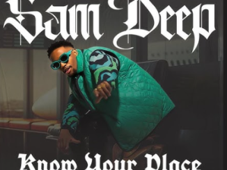 Sam Deep & Stixx - Know your place (Space) Ft. Thatohatsi & Nvcho