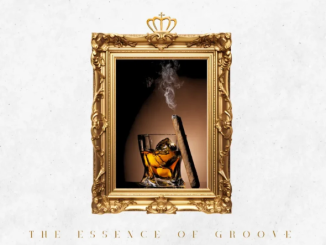 Inspector Deep – The Essence of Groove EP