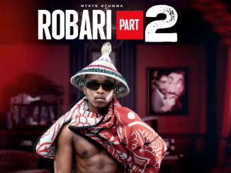 Ntate Stunna – Robari 2