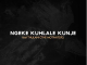 Dumi Mkokstad – Ngeke Kuhlale Kunje