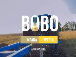 Bobo Mfana Wepiki - Angincethezi