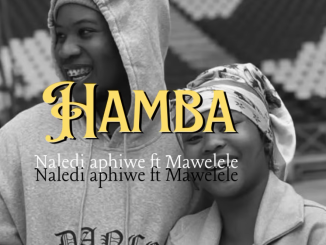 Naledi Aphiwe Ft. Mawelele - Hamba