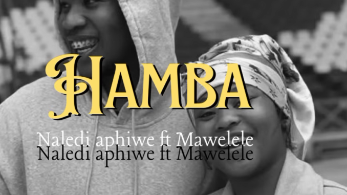 Screenshot 2025-05-22 141457 Naledi Aphiwe Ft. Mawelele - Hamba