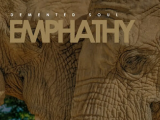 Demented Soul – Emphathy (Imp5 Mix)