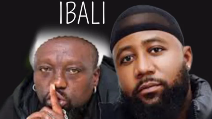 Screenshot 2025-05-26 072952 Cassper Nyovest Ft. Zola 7 - ibali