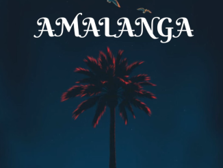 Kelvin Momo (Amalanga)'s By TeeJay