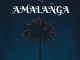 Kelvin Momo (Amalanga)'s By TeeJay