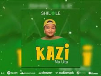 Shilole – Kazi Na Utu