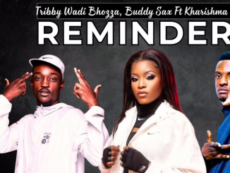 Buddy sax, Tribby Wa Di Bozza Ft. kharishma, Dj Lucky, Shandesh, Shebeshxt - Reminder