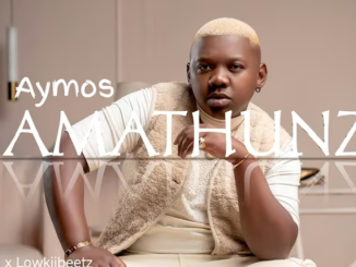 Aymos & Mas Musiq - Amathunzi Ft. Samthing Soweto, Soa Matrixx & Eemoh