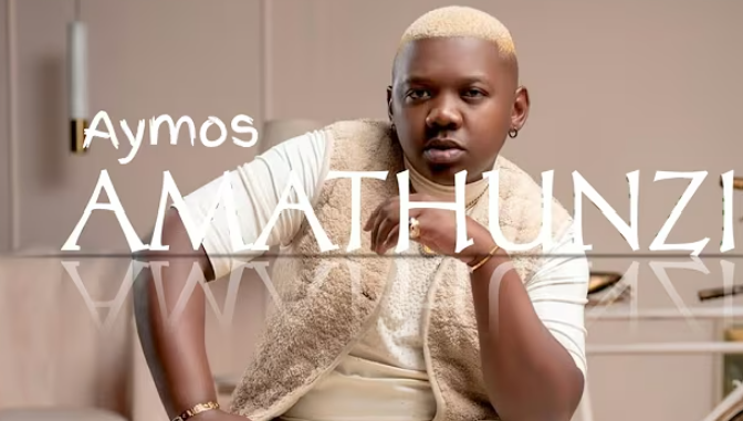 Screenshot 2025-05-29 120006 Aymos & Mas Musiq - Amathunzi Ft. Samthing Soweto, Soa Matrixx & Eemoh