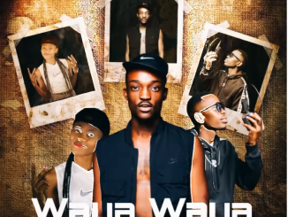 Tribby Wadi Bhozza - Waya Waya Ft. Abi Wa Mampela & Zoli White Smoke