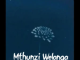 Why01.1 & uMalume Soul’s – Mthunzi Welanga