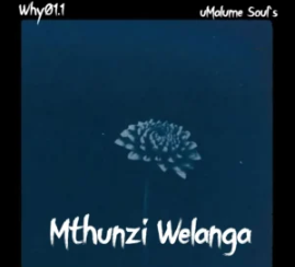 13 Why01.1 & uMalume Soul’s – Mthunzi Welanga