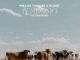 Phila Da Vocalist & TICOZET – Iy’nkomo (feat. Enhle Mlambo)
