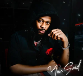 Skyywalker – You Said (feat. Meenah & Leeroy)