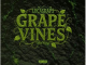 Lucasraps – Grapevines Ft. Ca$h Khali