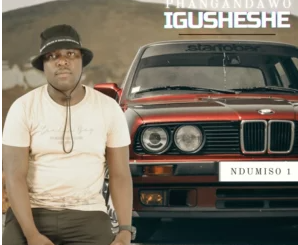 Phangandawo – Luyazenzela