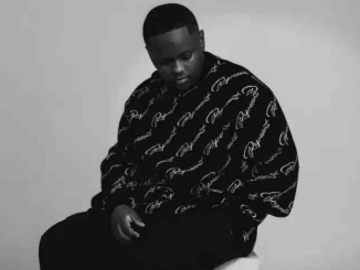 Stanky DeeJay – Pianocast Mix 41