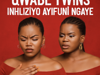 Qwabe Twins - Inhliziyo Ayifuni Ngaye