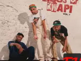 ALBUM: Sam Deep ft Stixx & Nvcho – Kings Of Kwapi Vol. 1