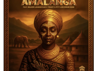 Piano City, Kelvin Momo & Thatohatsi – Amalanga (feat. Major League Djz, Tracy & PYY Log Drum King)