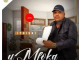 Umfoka Msezane – Akangiloboli