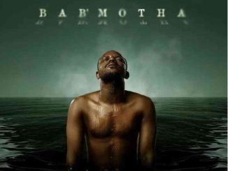 Kabza De Small – Bab’Motha Album