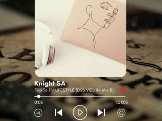 Knight SA – DSS VOL.114 Mix B (Trip To PV Lifestyle II)