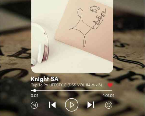 Knight SA – DSS VOL.114 Mix B (Trip To PV Lifestyle II)