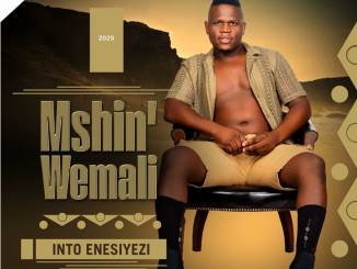 Mshinwemali – Ithathe