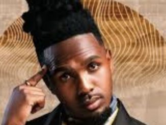 MusiholiQ – Umsebenzi