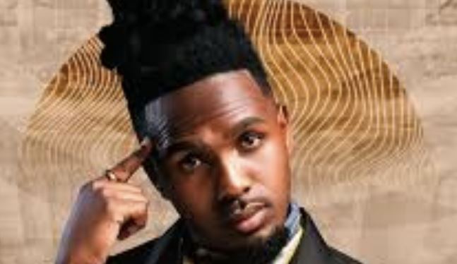 MusiholiQ – Umsebenzi