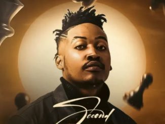 T-Man SA – Zithande Ft. Bassie & ZEE_NHLE