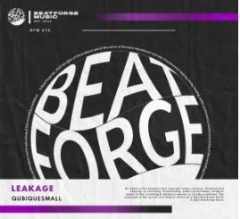 QubiqueSmall – Leakage