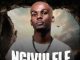 De Soul, NATASHA MD & Brandon Dhludhlu – Ngivulele Ft. Kamoh Xaba & Tumisho