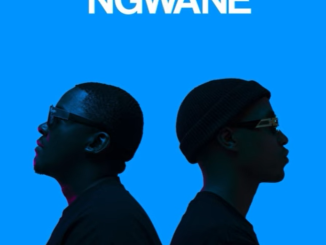 Frigid Armadillo, Kenza & Mthunzi - Ngwane