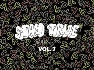 VA – Stay True Sounds Vol. 7 (Compiled By Kid Fonque)