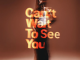 Dwson & Unwnd – Cant Wait To See You