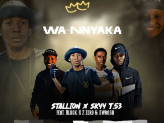 Skyy T.53 - Wa Nnyaka