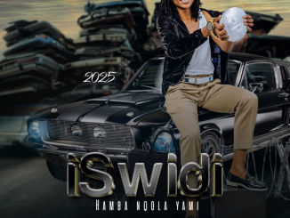 ISwidi – Ubona Sekudliwa