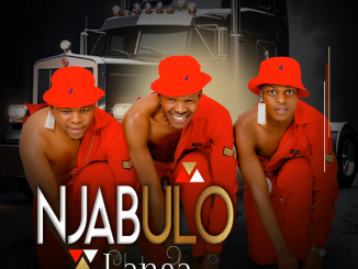 Njabulo Langa - Asehleni