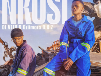 Dj Veek & Criimora b.k.z - NKOSI