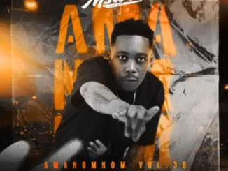 Msaro - Musical Exclusiv AmaNomNom Vol.36