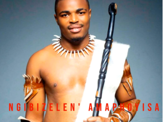 Shenge wasehlalankosi - Ngibizelen' amaphoyisa